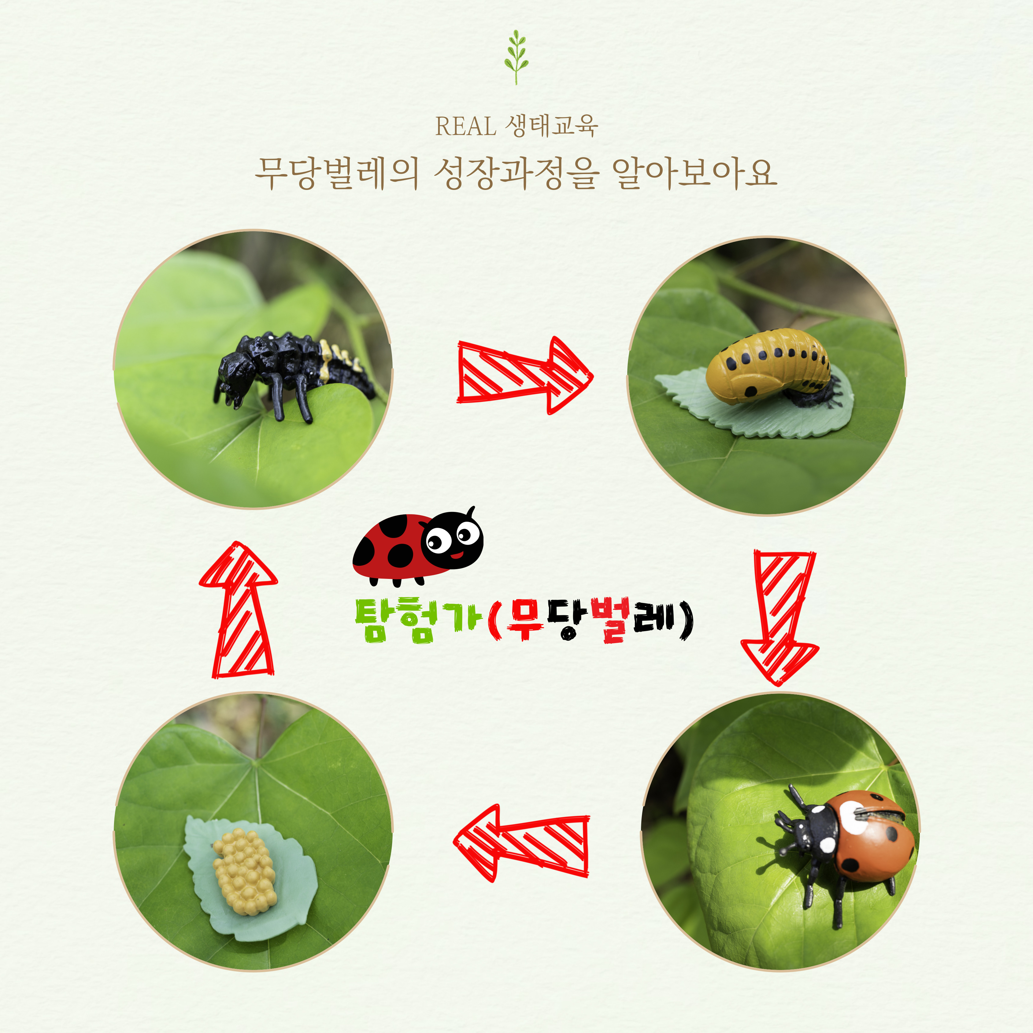 7345514bee5b36f59dfea206d0fbd211_1752568086_8646.jpg