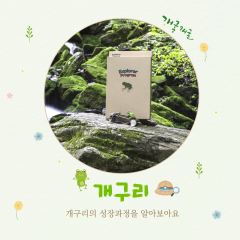 개구리
