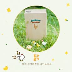 닭