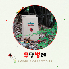 무당벌레