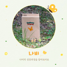 나비