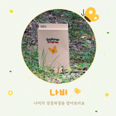 나비